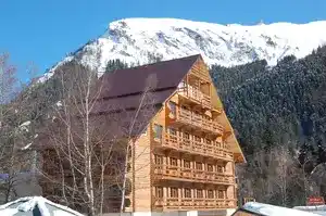 Логотип Домбая